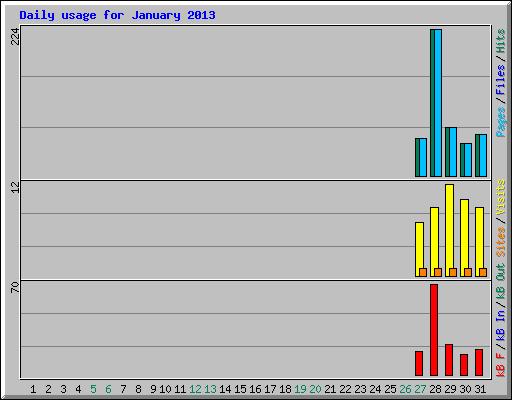 Daily usage for January 2013