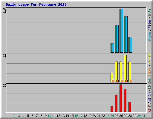 Daily usage for February 2013